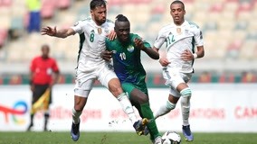 平台与战队 平台与战队